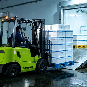 Hand Pallet Trucks
